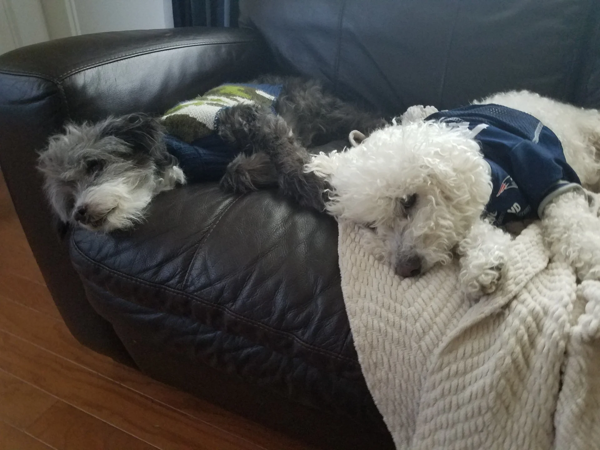 A photo of Gregory and Max